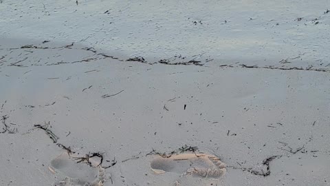 Walking along beach in Playa Mujeres, Mexico