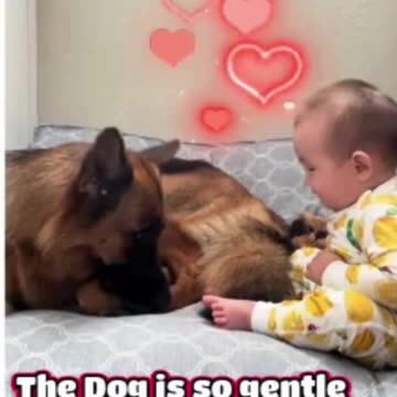 The ABSOLUTE CUTEST Baby and Dog Duo