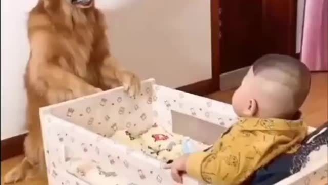 Why are you love dog