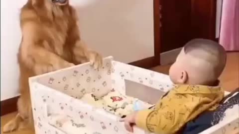 Why are you love dog