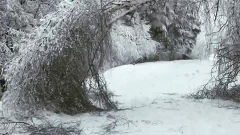 Snow Tunnel