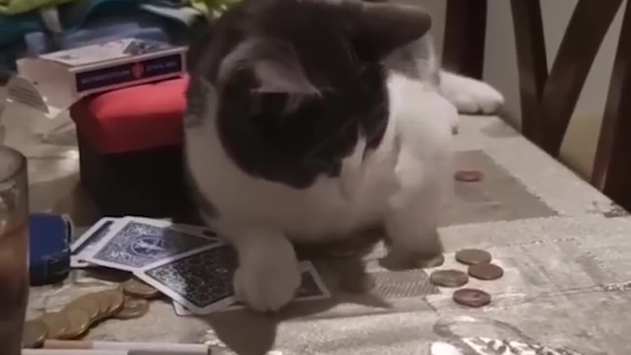 Funny moment