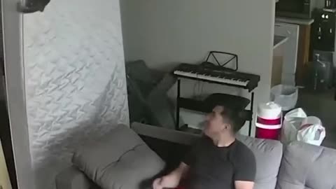 Don't trust cats