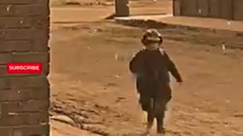Most funny video 🤣