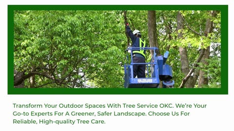 Tree Service OKC