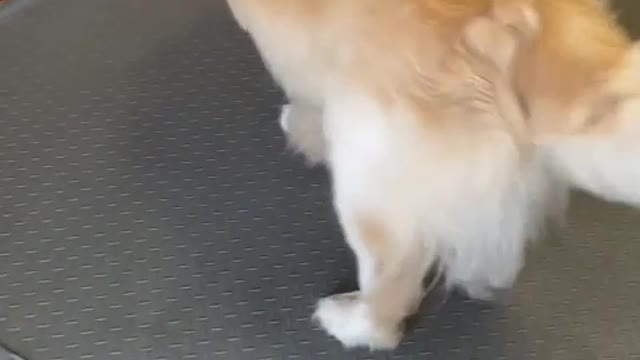 I come to you, you are the sea of ​​stars