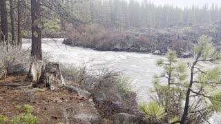 Hiking Along the Beautiful Deschutes River Trail – Central Oregon – 4K