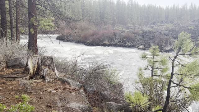 Hiking Along the Beautiful Deschutes River Trail – Central Oregon – 4K