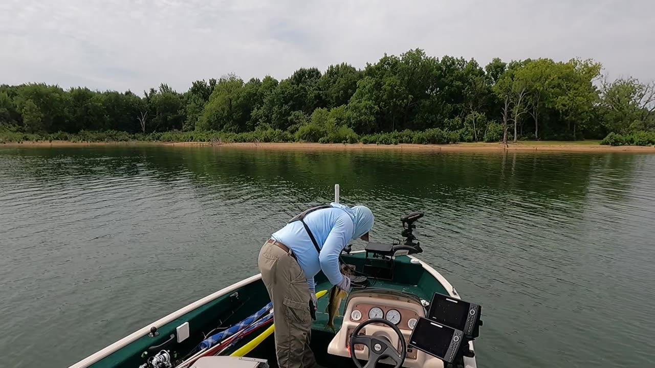 Spoon up a walleye