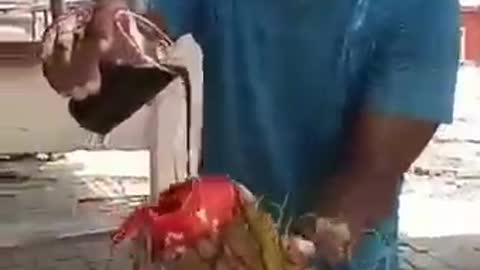 Blood Inside the Coconut 😱😱😱