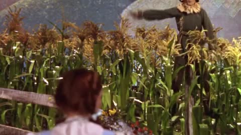 The Ultimate Wizard of Oz Montage!