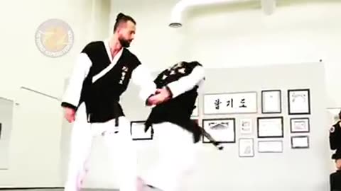 Hapkido