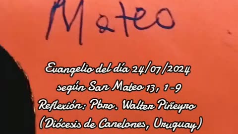 Evangelio del día 24/07/2024 según San Mateo 13, 1-9 - Pbro. Walter Piñeyro