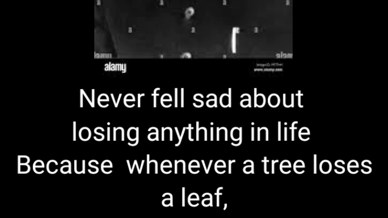 Never fell sad losing anything in life