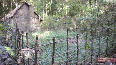 Primitive Technology Sweet potato patch