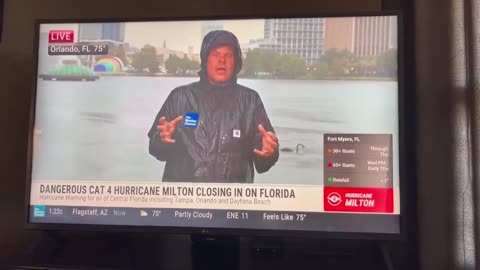 17 second clip of a news reporter talking about a power grid blackout