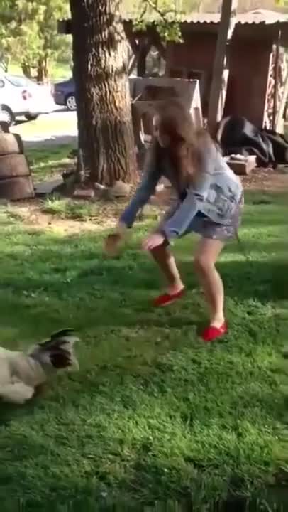 CATCH ME IF YOU CAN!!!!!! Cute & Funny Animals Videos 🐕‍🦺 Pets, Dogs & 🐱 Cats Compilation 2022