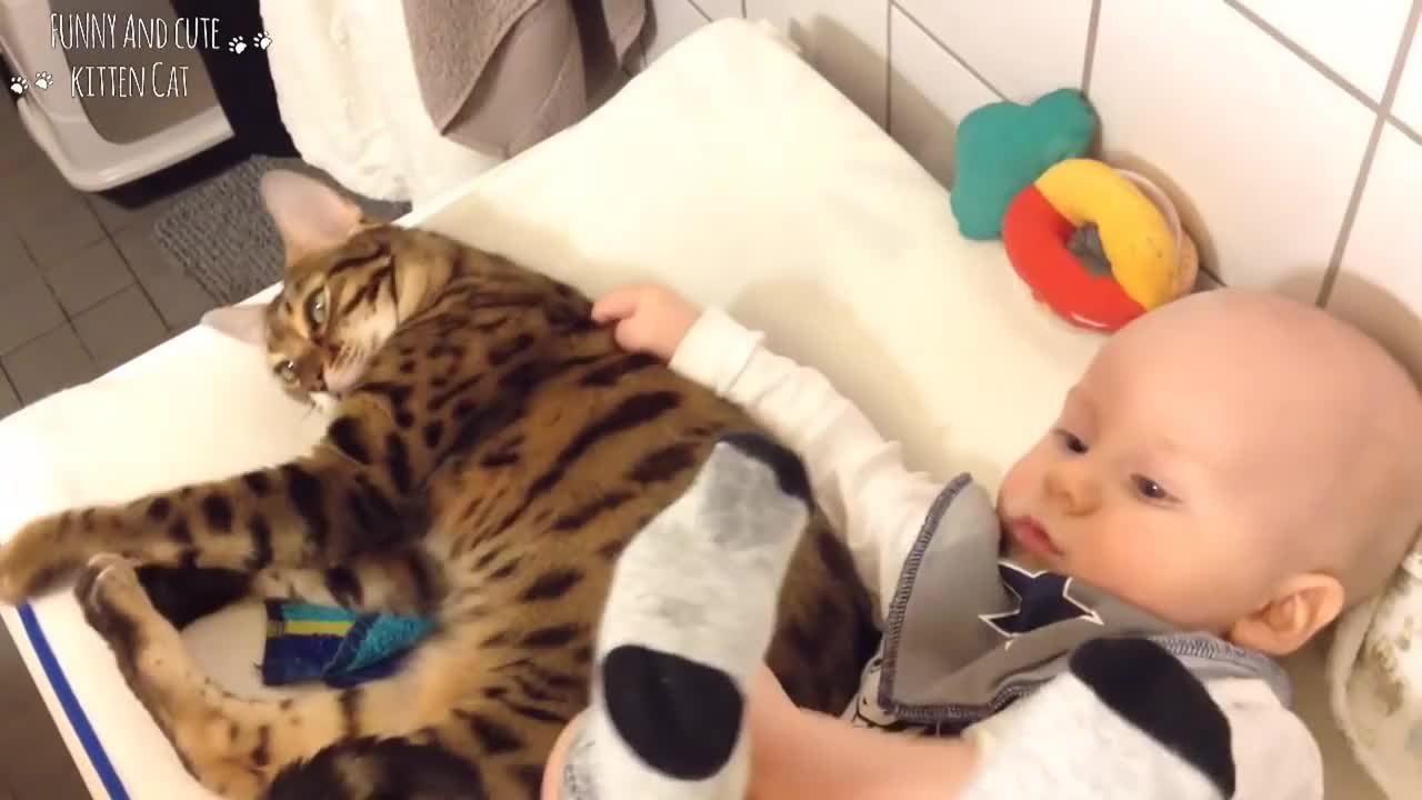 Cute Cats and Babies Playing and Become Best Friend - Funny Baby and Cat Videos | CATSLIFE#4