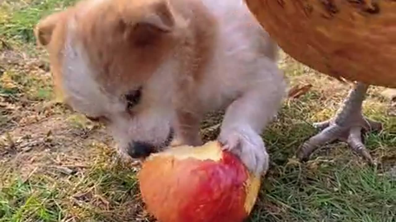 Bunny: You eat yours, I'll eat mine.