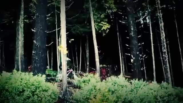 Forest tournament Amazing Freeride