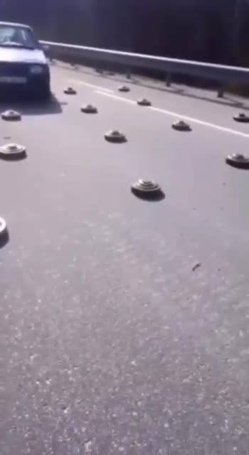 Ukrainian citizens try to leave the city of Kiev near Borodyanka with their cars...