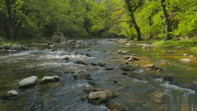 4K Relaxing River 2022 - HD Nature Video Water Stream Birdsong Sounds