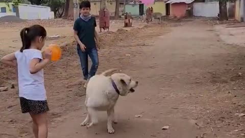 Play time