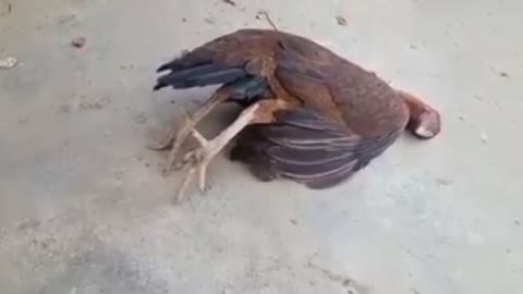So sad