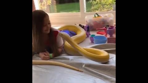TRY NOT TO HAVE CHILLS Exotic Pet #1