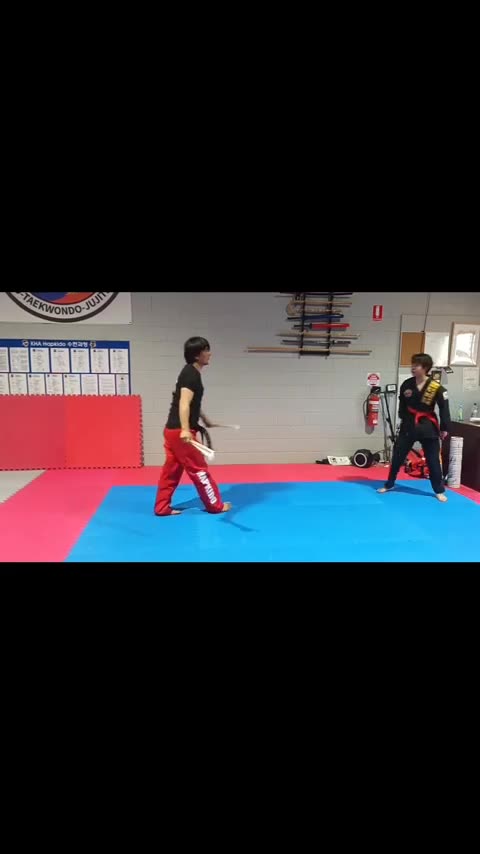 Hapkido