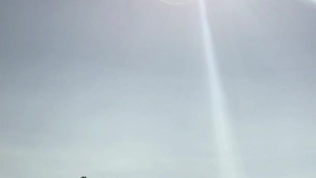 Eclipse From an Oregon Cemetery