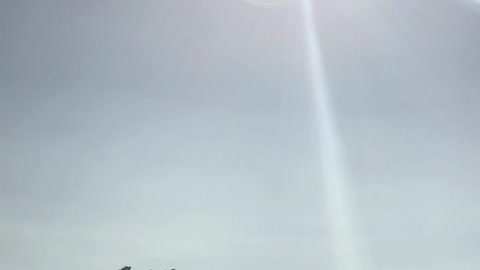 Eclipse From an Oregon Cemetery