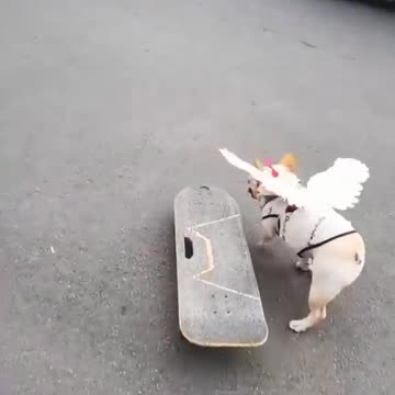 Are you ready Let me take you for a ride?