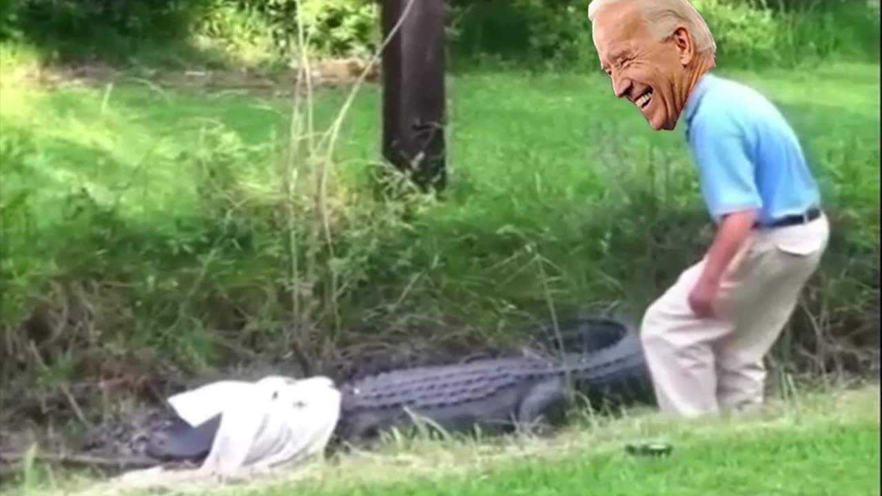 The Remake of Biden Vs an Alligator. 5hrs From start to finish.