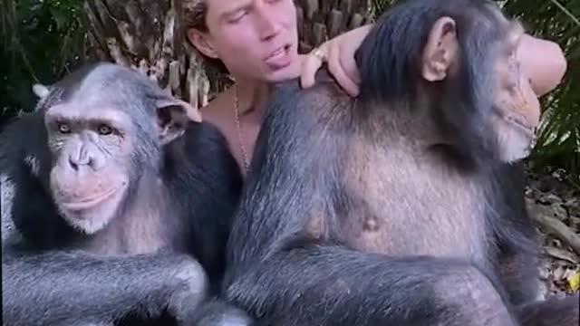 They are my friends || Lovely gorillas funny video