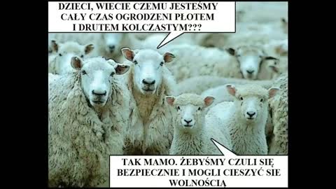 Niechaj niesie się wirus świadomości Wyskakujemy z gara.