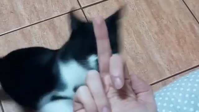 Don't Show Me That Finger Again