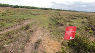 Hiking in the New forest vlog