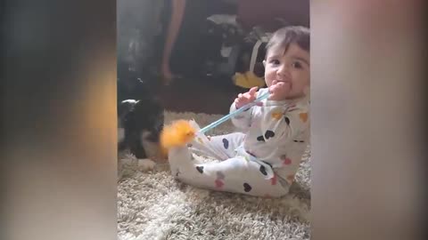 Cutest Babies Play With Dogs And Cats Compilation -- Cool Peachy #cat #cute #kitten #dog