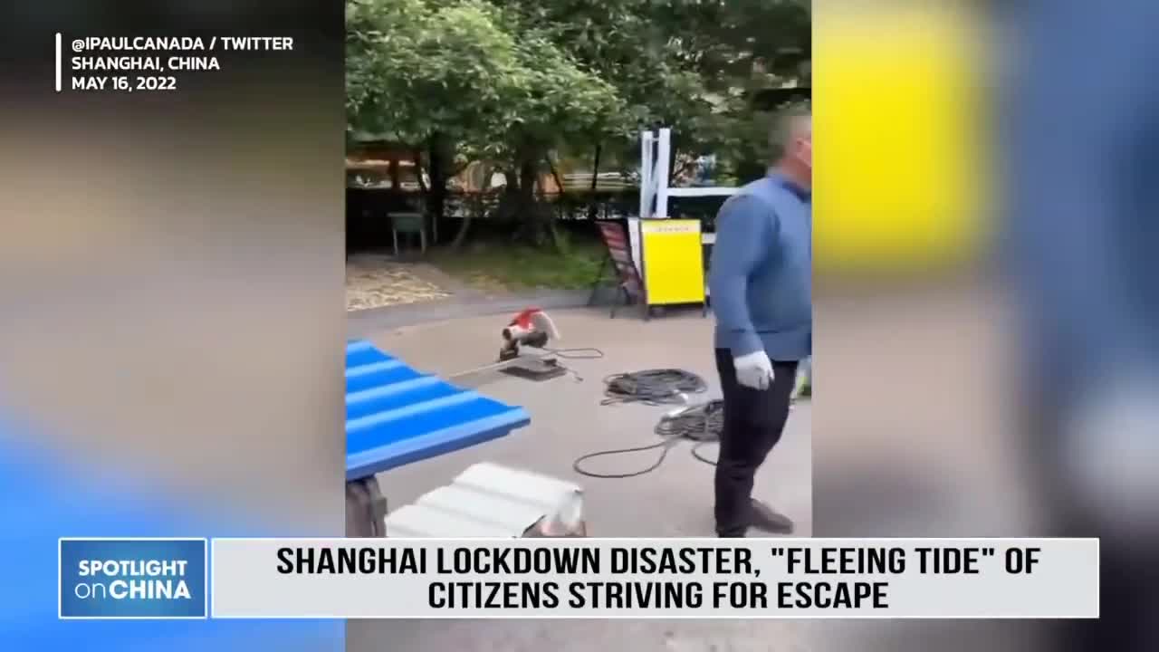 Covid lock down in Shanghai