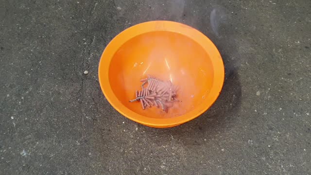 Fireworks in plastic bowl! Funny video of fireworks.