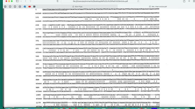 African Green Monkey Simian Cytomegalovirus Origin of Stealth Adapted Virus Infecting a CFS Patient