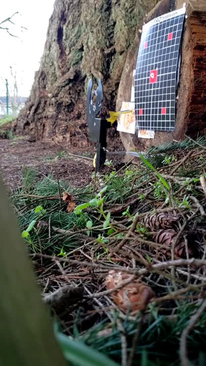 Crosman squirrel swinger target hit with Hades .177 pellet