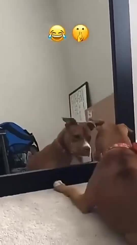 You can't stop laughing 😂 🤣