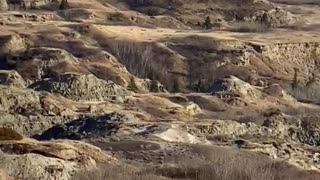 Dry Island Buffalo Jump (Take 2)