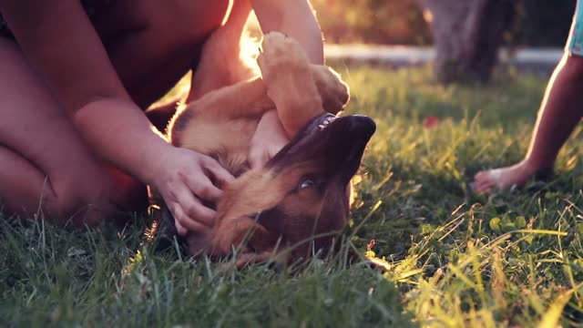 excite- puppy dog rolling on grass while unidentifiable child him under his legs