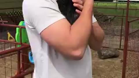 Petting goats
