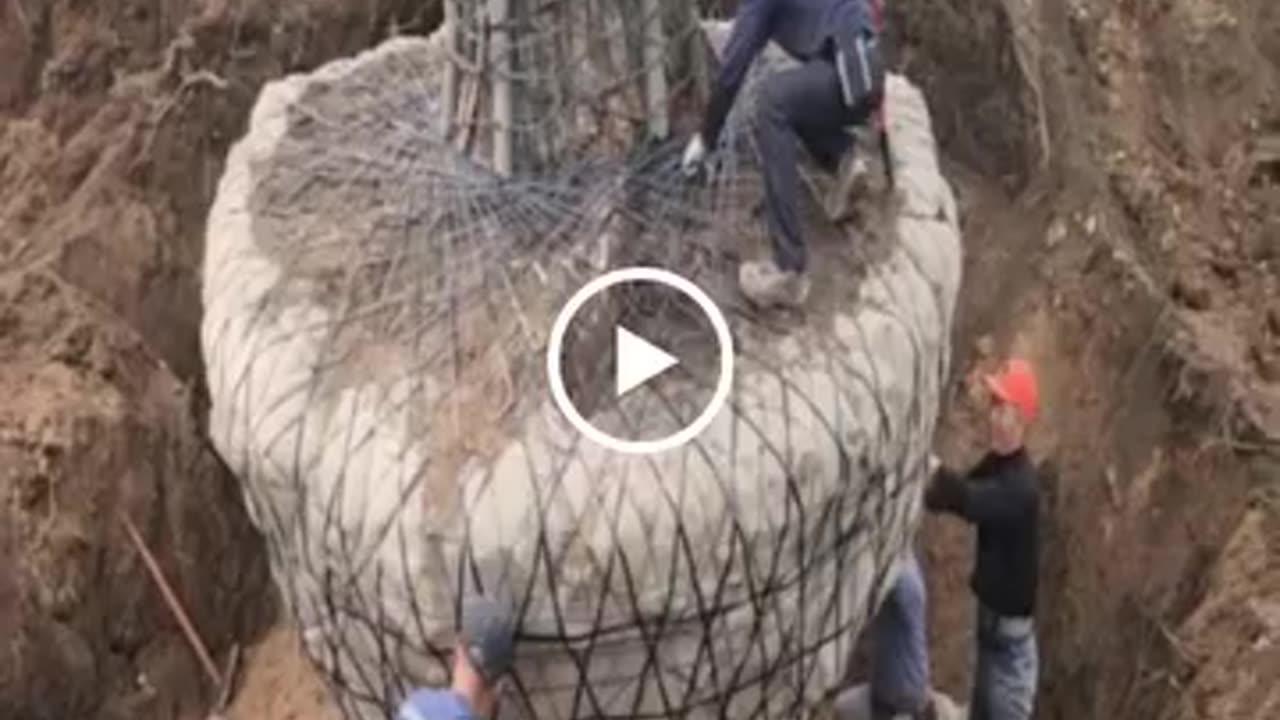 moving a 100-year-old tree