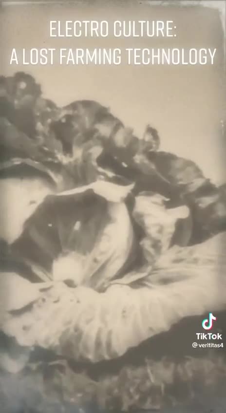 The Lost Technology of The Electro-field