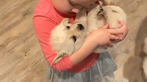 Girl trying to love ❤ her puppy